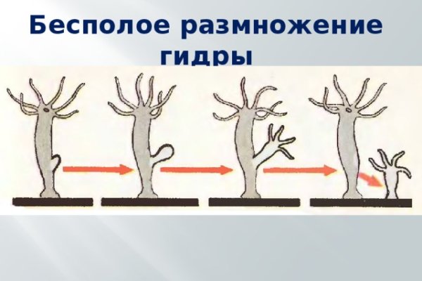 Вход в кракен даркнет