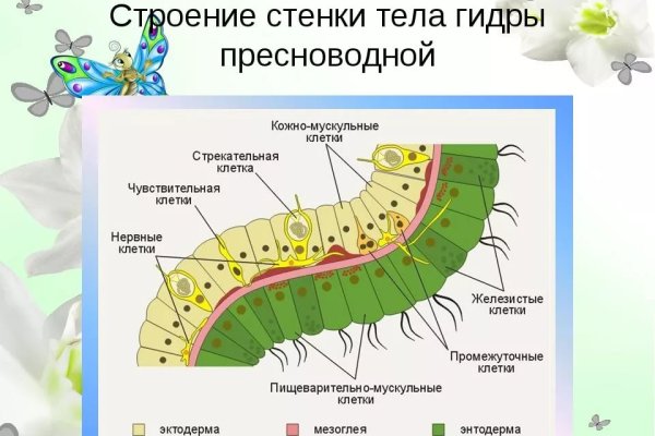 Кракен запрещенные вещества