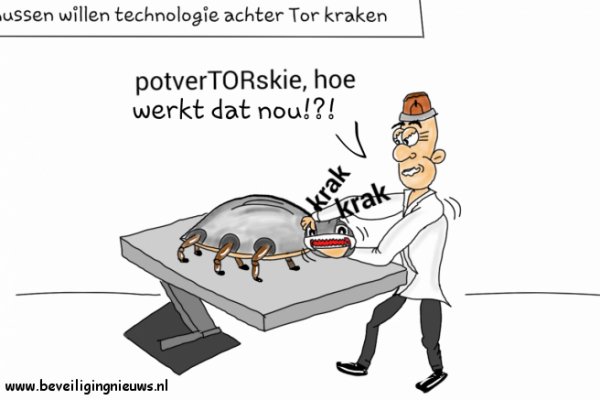 Кракен актуальная ссылка тор