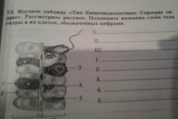 Зайти кракен через тор