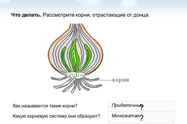 Kraken это современный маркетплейс